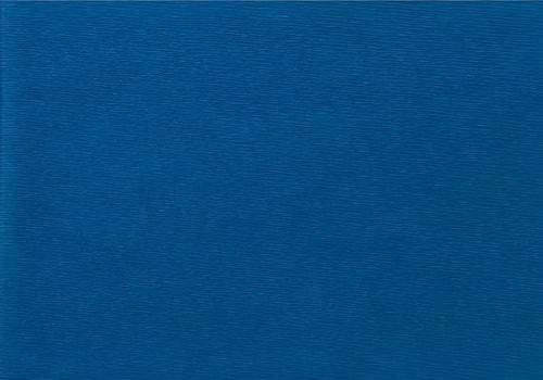 4 % Concentrate Reactive Blue 21 Dyes Shade